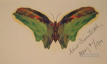  Albert Pintura al %C3%B3leo - Luminismo de mariposa Albert Bierstadt